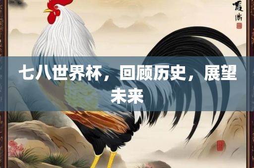 七八世界杯，回顾历史，展望未来