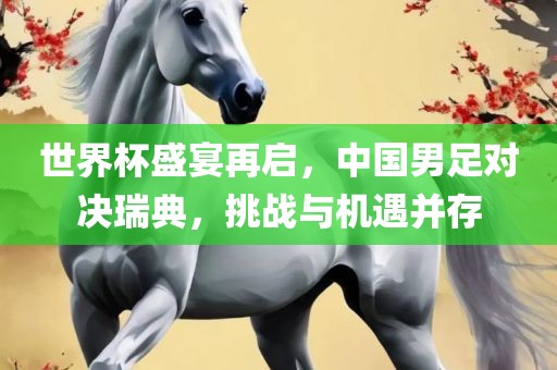 世界杯盛宴再启，中国男足对决瑞典，挑战与机遇并存