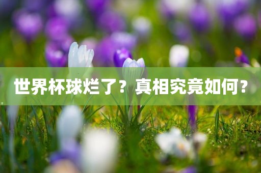 世界杯球烂了？真相究竟如何？