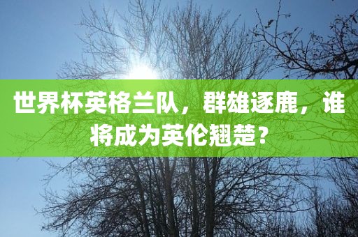 世界杯英格兰队，群雄逐鹿，谁将成为英伦翘楚？
