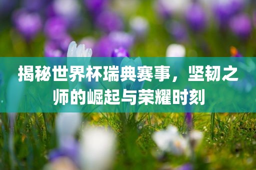 揭秘世界杯瑞典赛事，坚韧之师的崛起与荣耀时刻衡水勇创橡塑制品有限公司