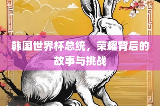 韩国世界杯总统，荣耀背后的故事与挑战