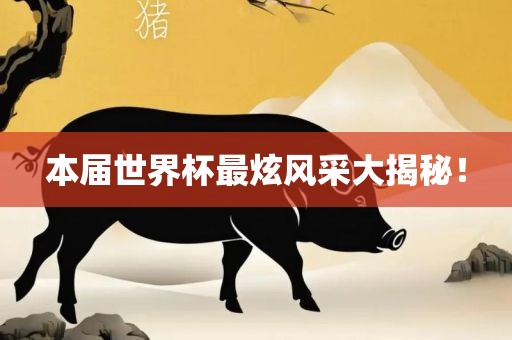 本届世界杯最炫风采大揭秘！
