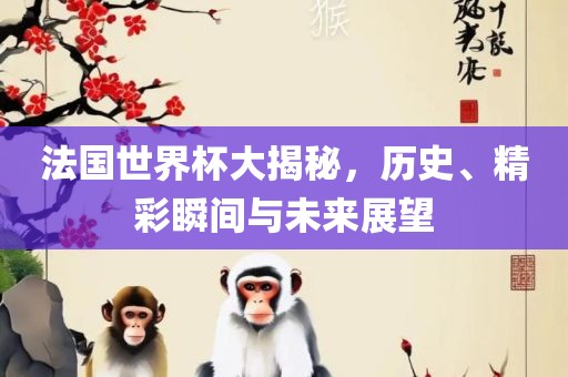 法国世界杯大揭秘，历史、精彩瞬间与未来展望