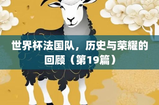 世界杯法国队，历史与荣耀的回顾（第19篇）