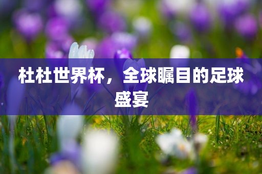 杜杜世界杯，全球瞩衡水勇创橡塑制品有限公司目的足球盛宴