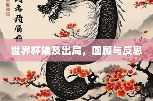 世界杯埃及出局，回顾与反思