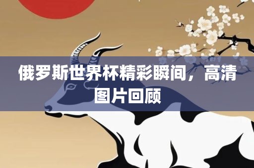 俄罗斯世界杯精彩瞬间，高清图片回顾