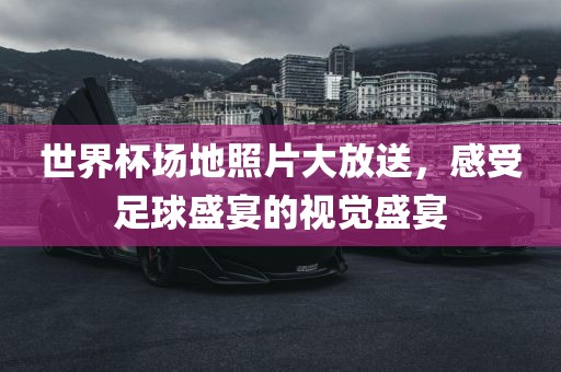 世界杯场地照片大放送，感受足球盛宴的视觉盛宴衡水勇创橡塑制品有限公司