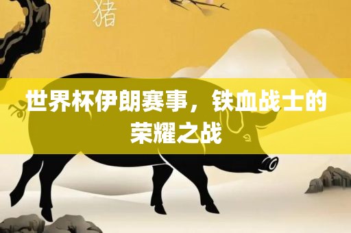 世界杯伊朗赛事，铁血战士的荣耀之战