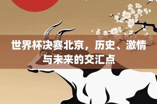世界杯决赛北京，历史、激情与未来的交汇点
