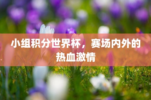 小组积分世界杯，赛场内外的热血激情