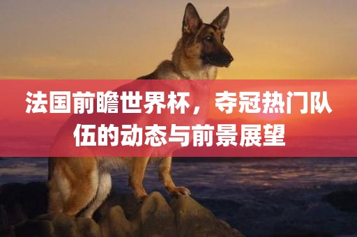 法国前瞻世界杯，夺冠热门队伍的动态与前景展望