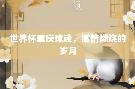 世界杯重庆球迷，激情燃烧的岁月