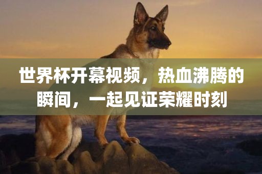 世界杯开幕视频，热血沸腾的瞬间，一起见证荣耀时刻